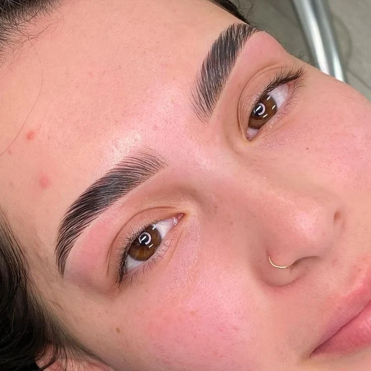 Detalle de cejas en el material de referencia del curso